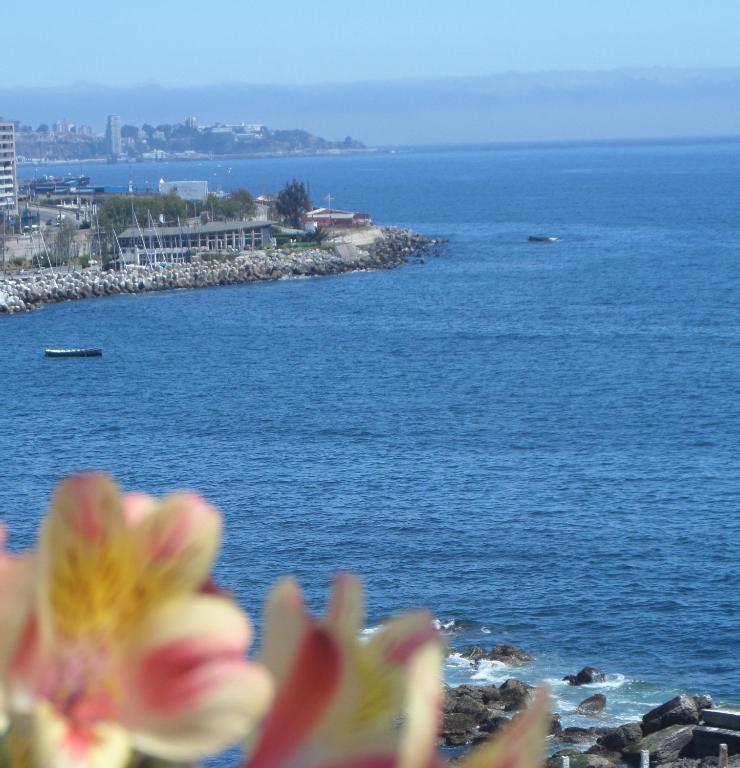 Domus Mare Hotel Vina del Mar Zimmer foto